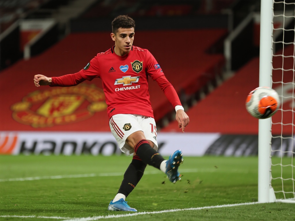 新闻报道中 新闻报道中